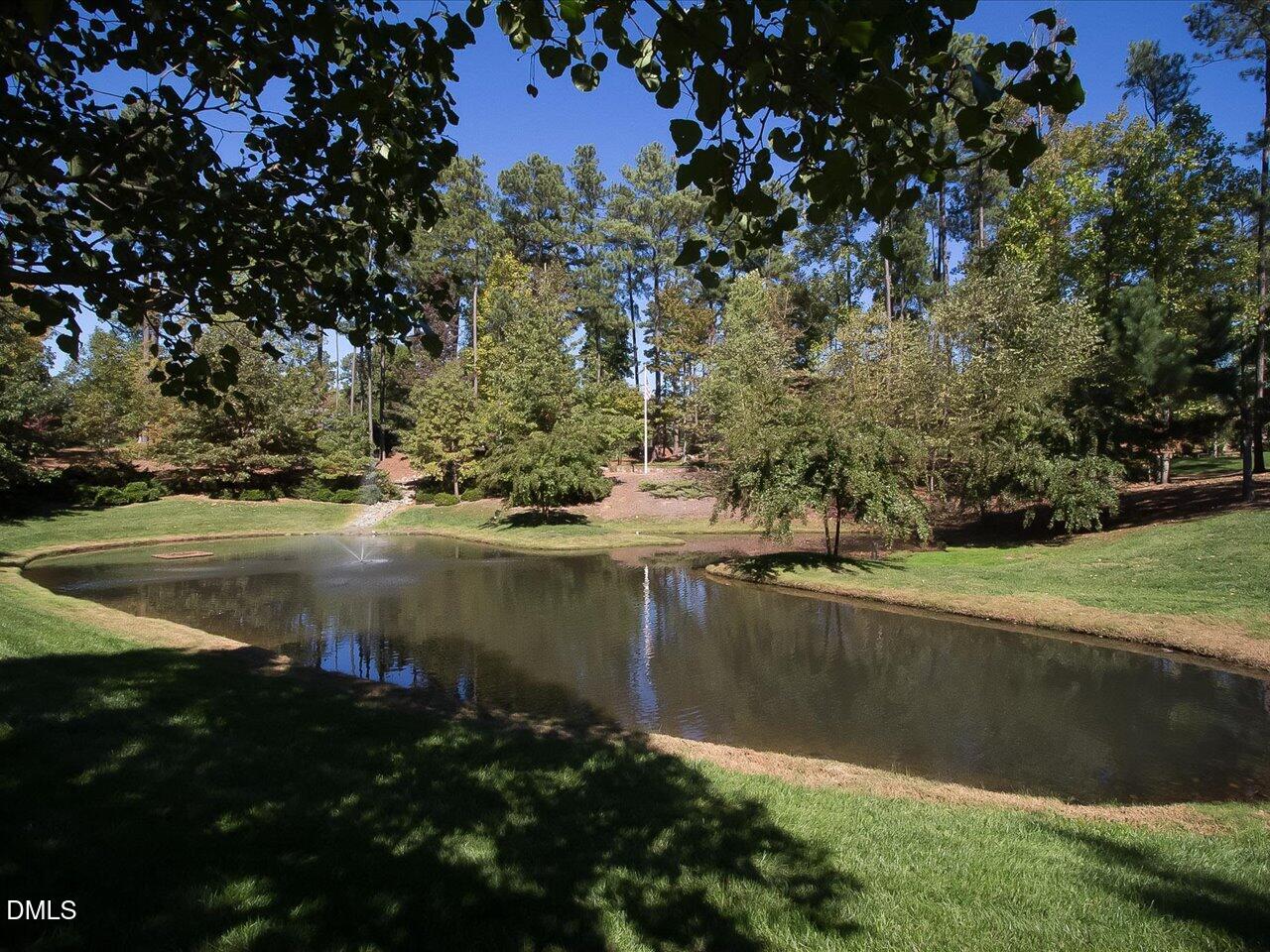 1149 The Preserve Trail Chapel Hill NC 27517