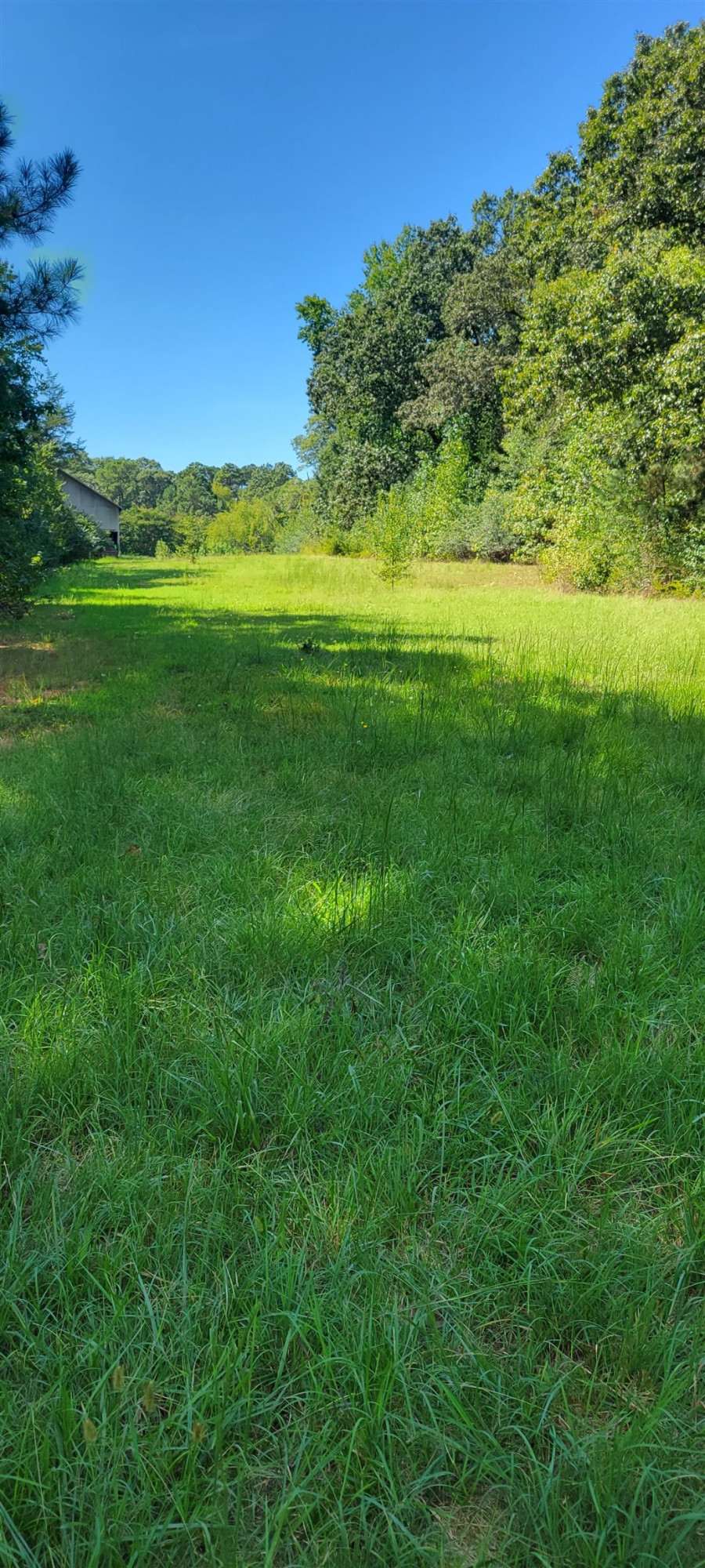 860 Farrington Point Road Chapel Hill NC 27517