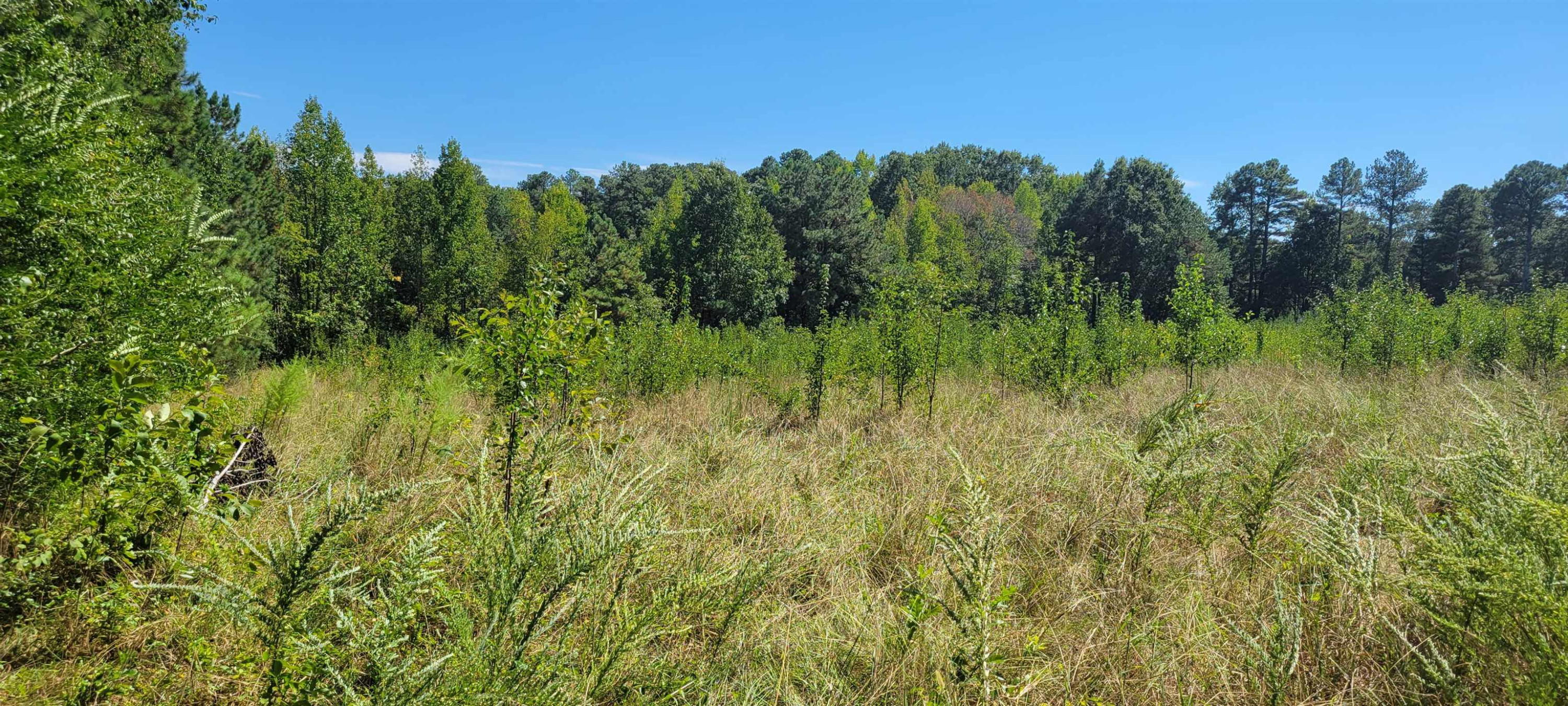 860 Farrington Point Road Chapel Hill NC 27517