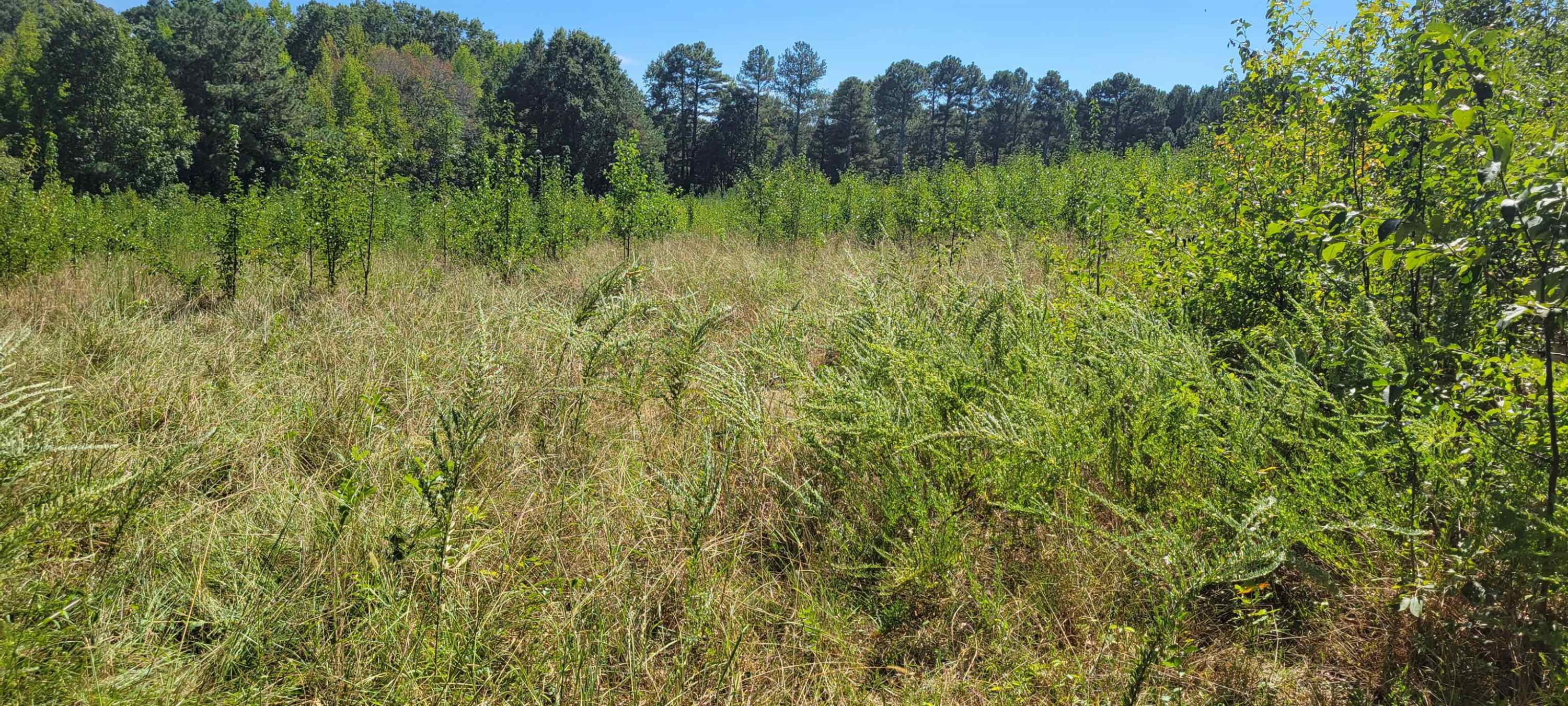 860 Farrington Point Road Chapel Hill NC 27517