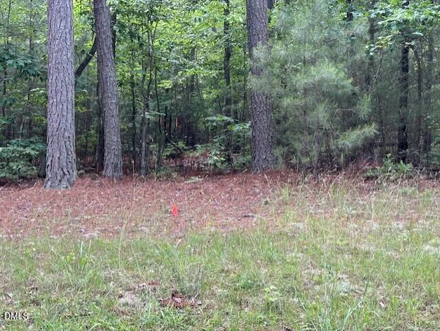 9033 Collins Creek Drive Chapel Hill NC 27516