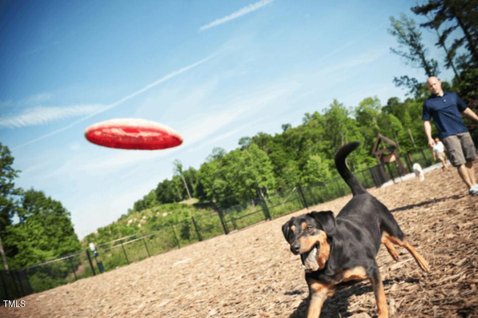 66 Ashwood Drive Chapel Hill NC 27516