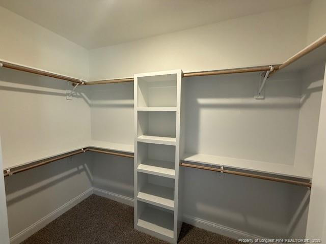 187 Surles Landing Way Benson NC 27504