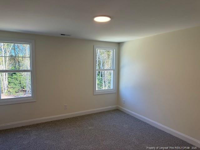 187 Surles Landing Way Benson NC 27504