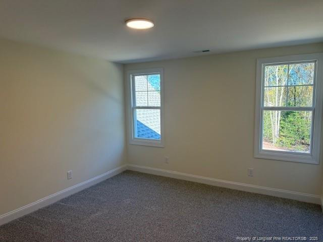 187 Surles Landing Way Benson NC 27504