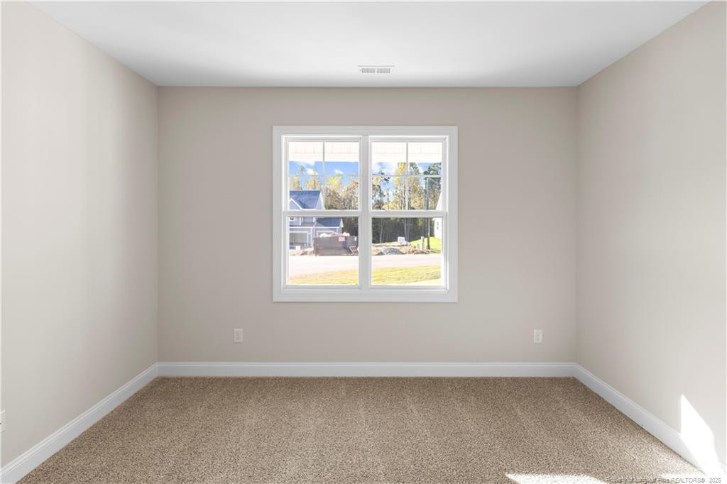 171 Surles Landing Way Benson NC 27504