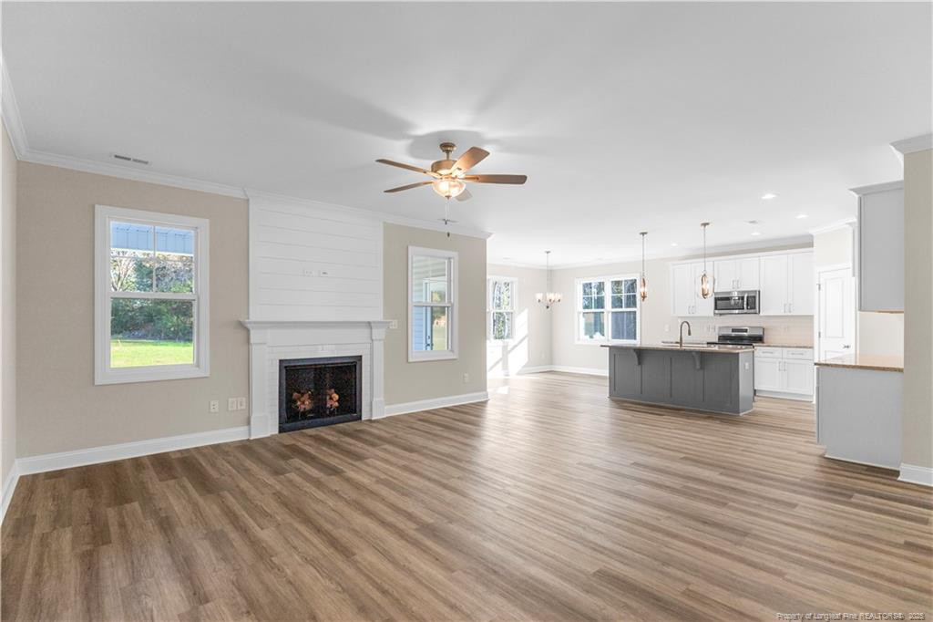 171 Surles Landing Way Benson NC 27504