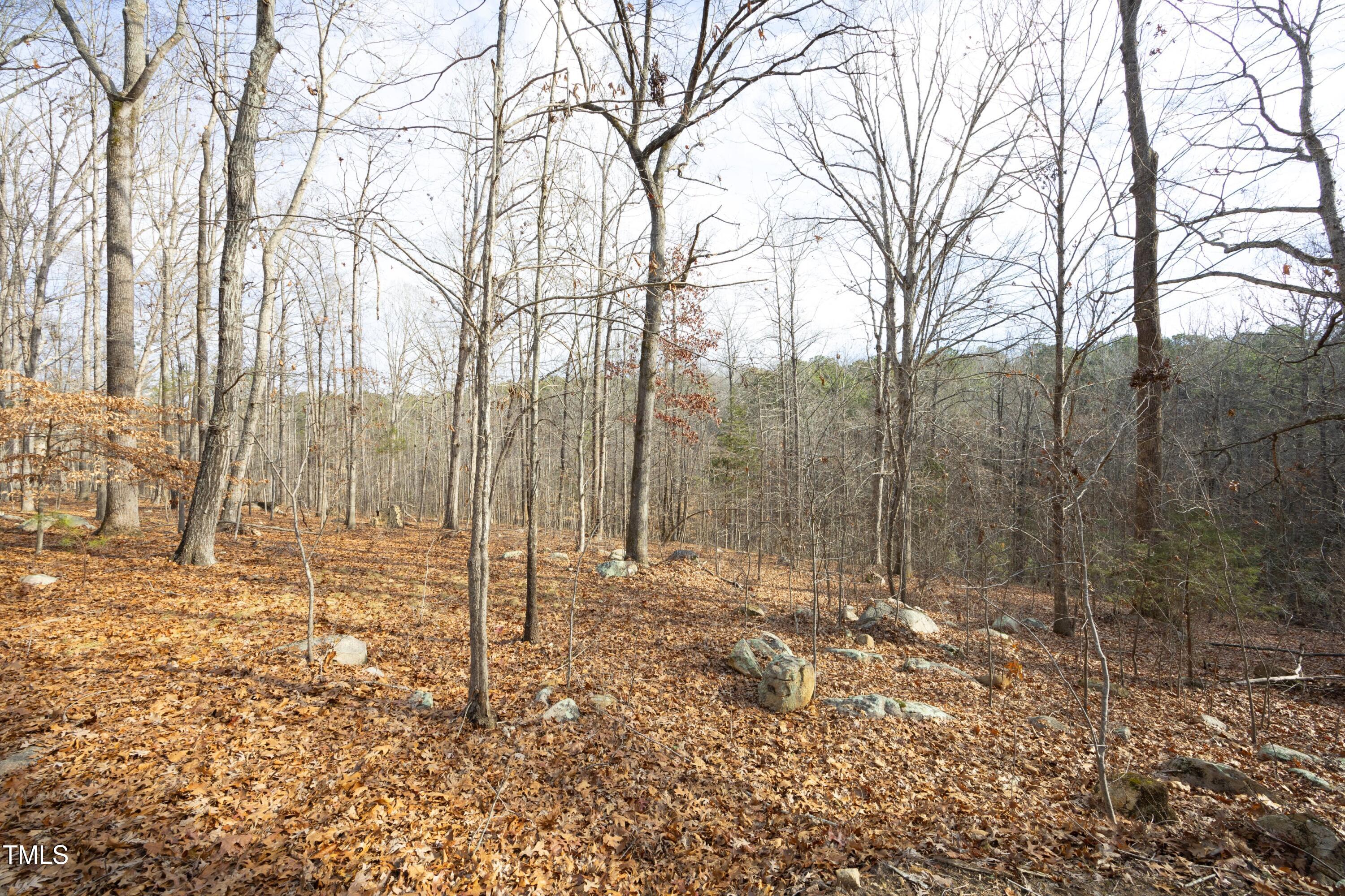 540 Patterson Drive Chapel Hill NC 27516