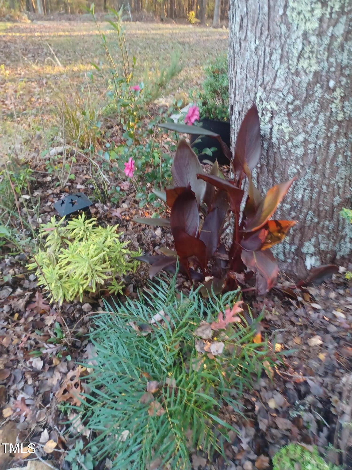 540 Patterson Drive Chapel Hill NC 27516