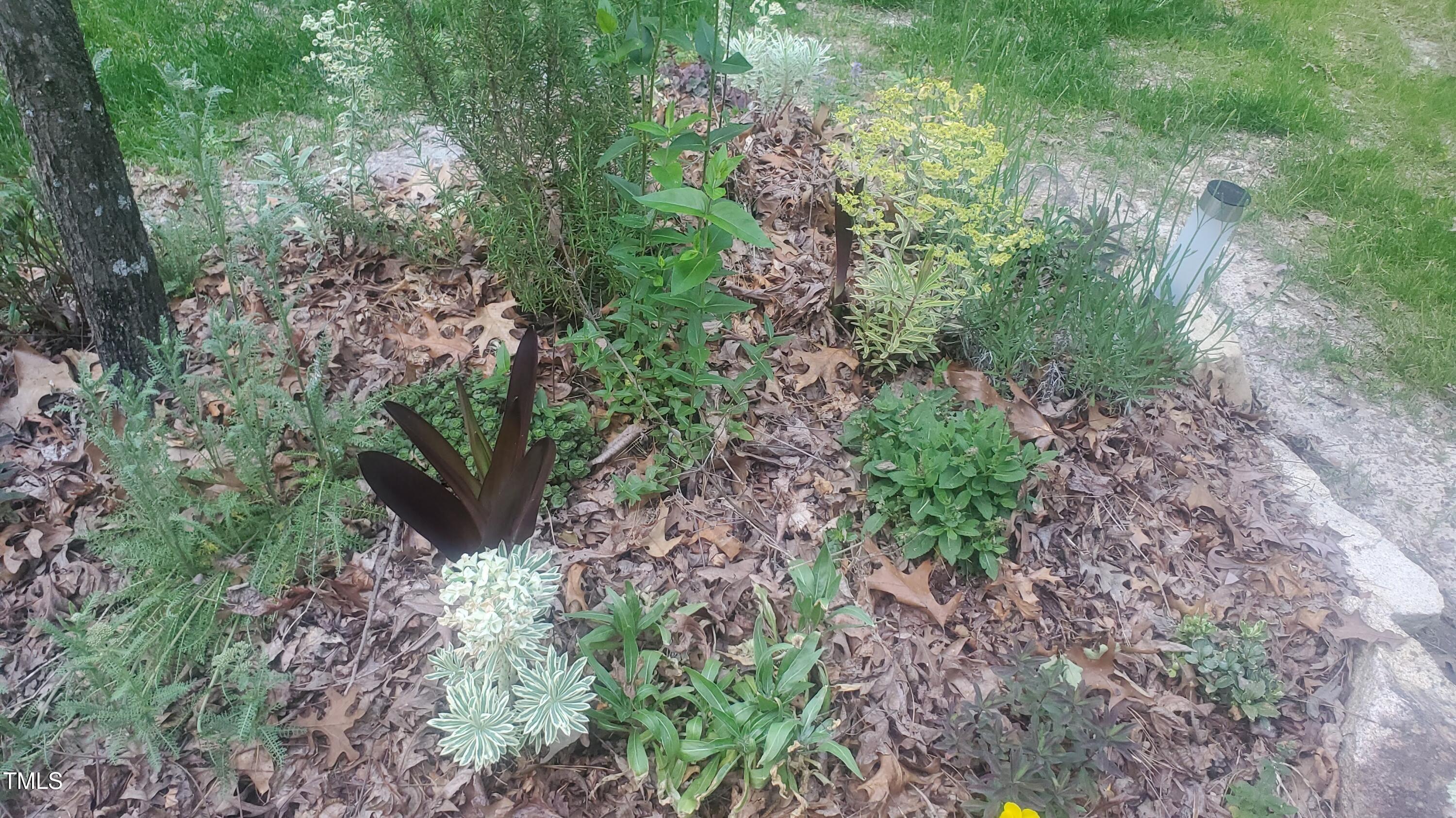 540 Patterson Drive Chapel Hill NC 27516