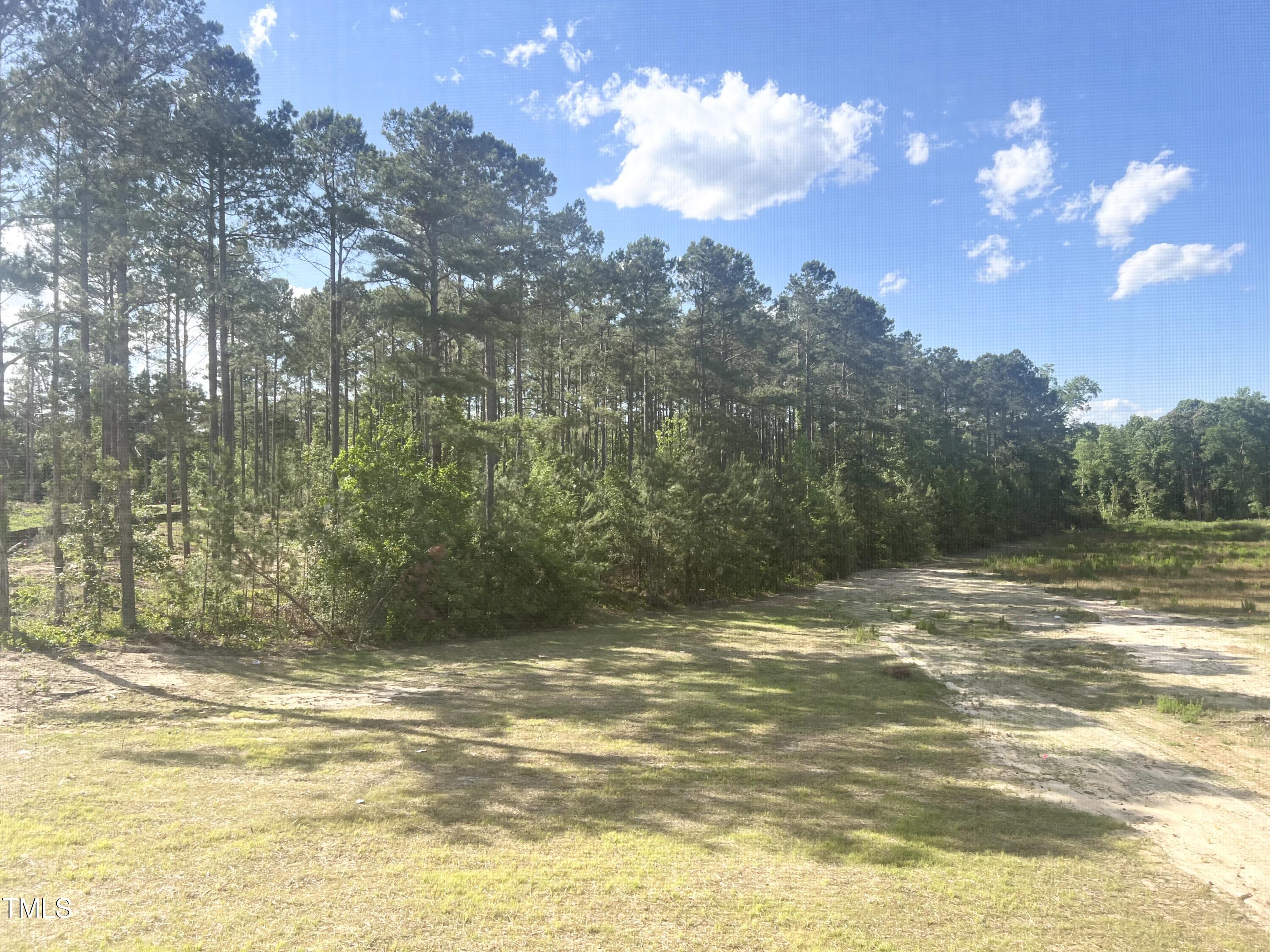 63 Tee Time Terrace Benson NC 27504