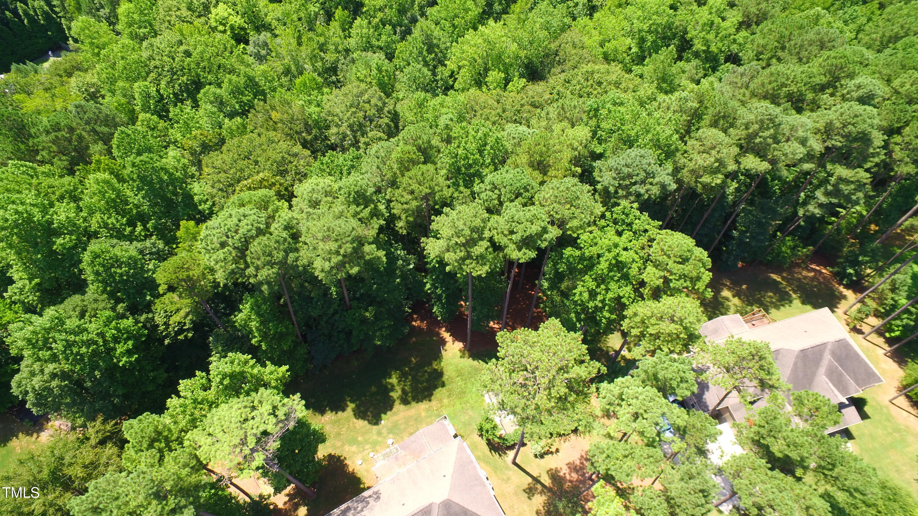 256 Running Springs Court Clayton NC 27527