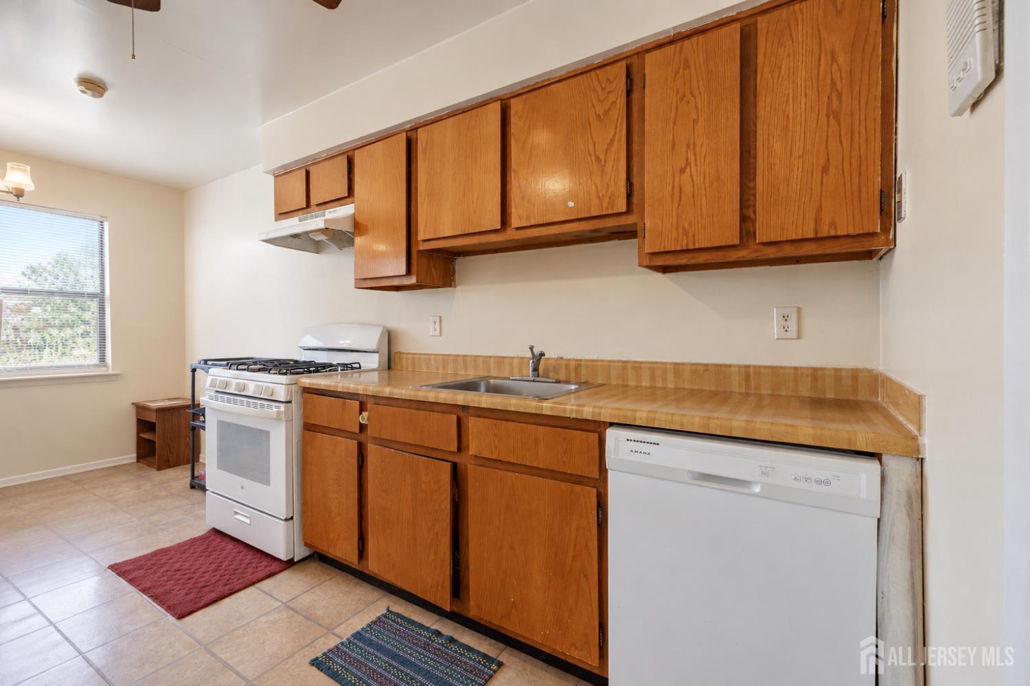 1507 Raspberry Court Edison NJ 08817