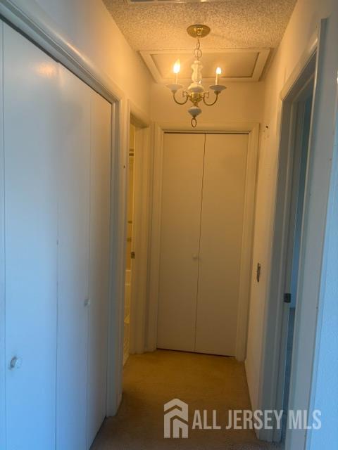 541 Cornus Plaza Monroe NJ 08831