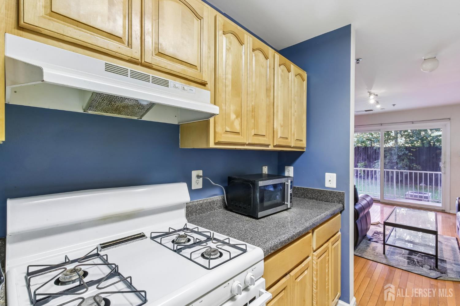1116 Edpas Road New Brunswick NJ 08901