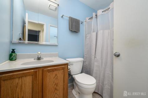 1614 Spruce Hills Drive Glen Gardner NJ 08826