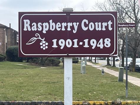 1947 Raspberry Court Edison NJ 08817
