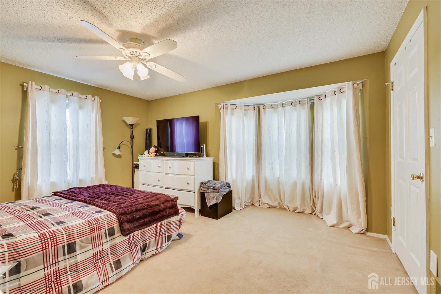 45 Amethyst Way Franklin NJ 08823