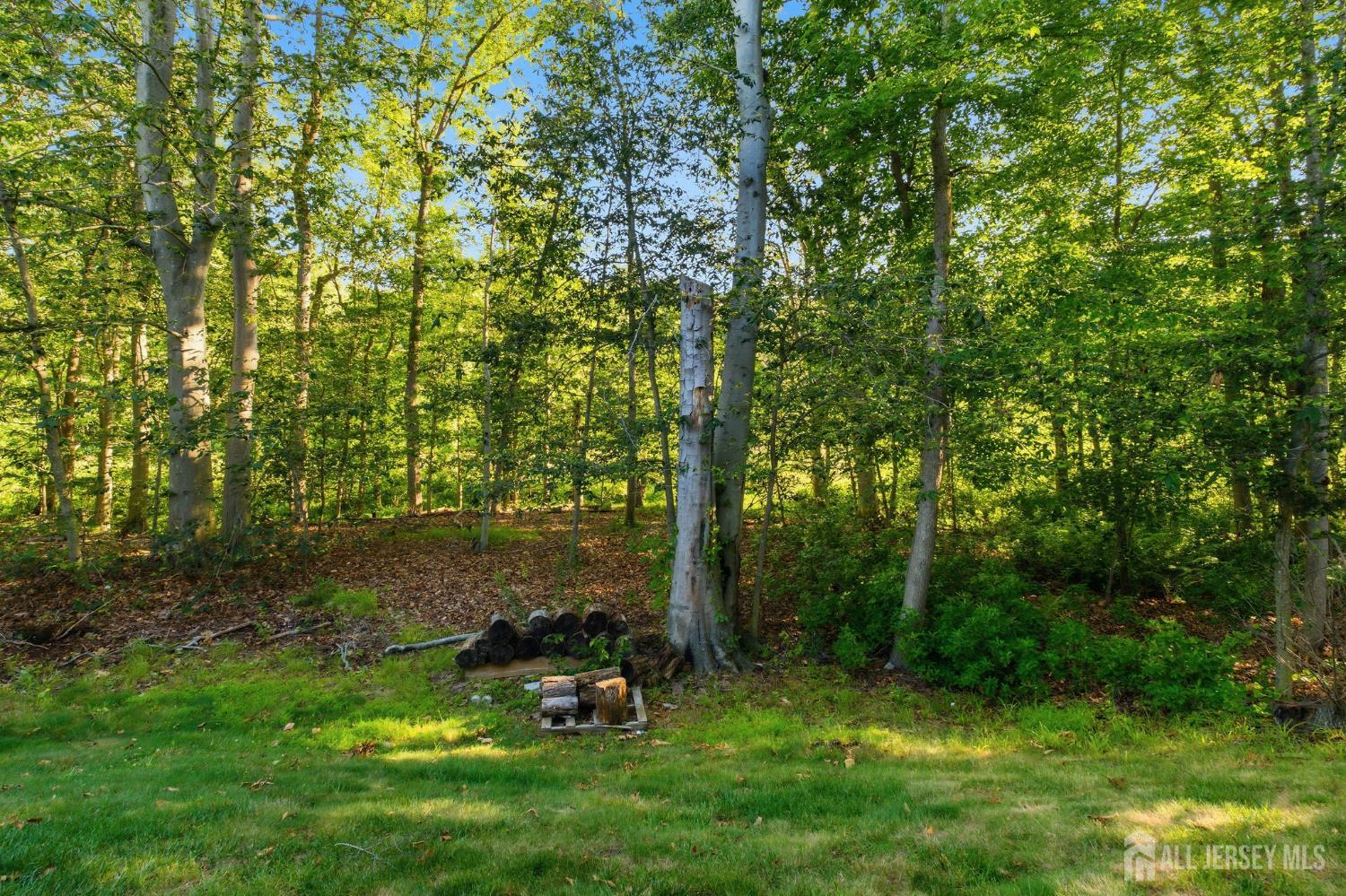 267 Century Way Manalapan NJ 07726