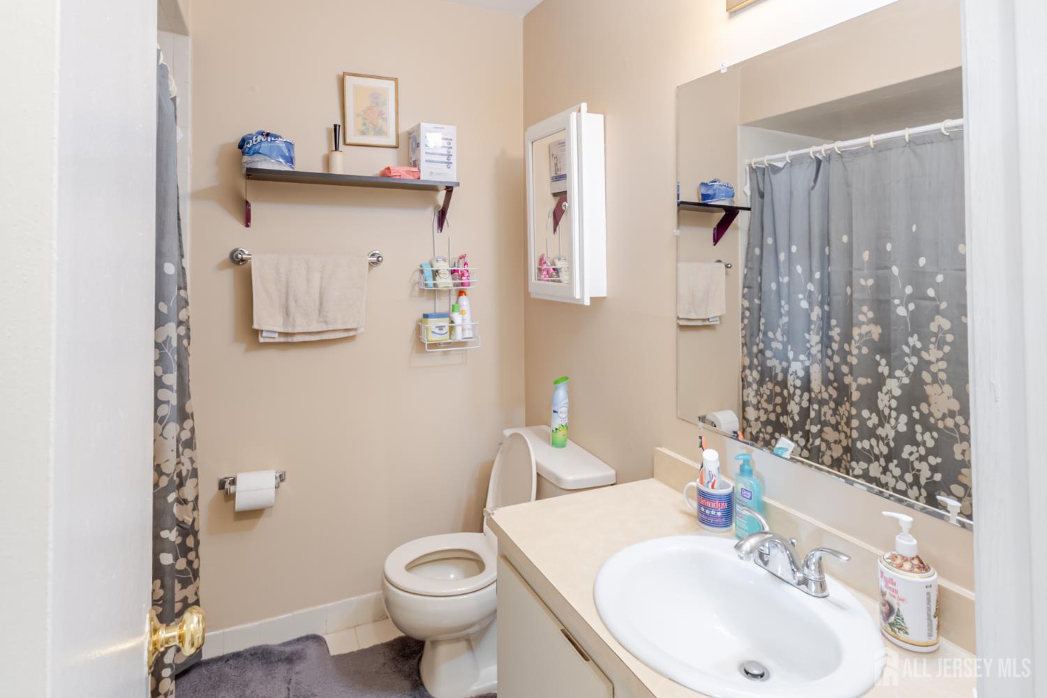 606 Green Hollow Drive Iselin NJ 08830