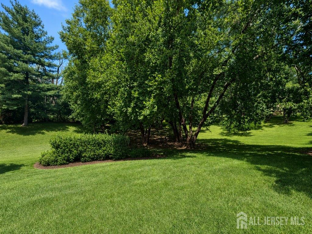 460 Sayre Drive Plainsboro NJ 08540