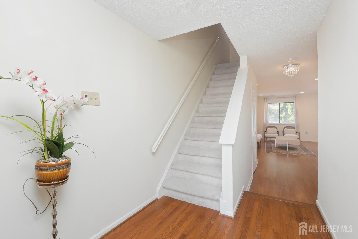 241 Hampshire Drive Plainsboro NJ 08536