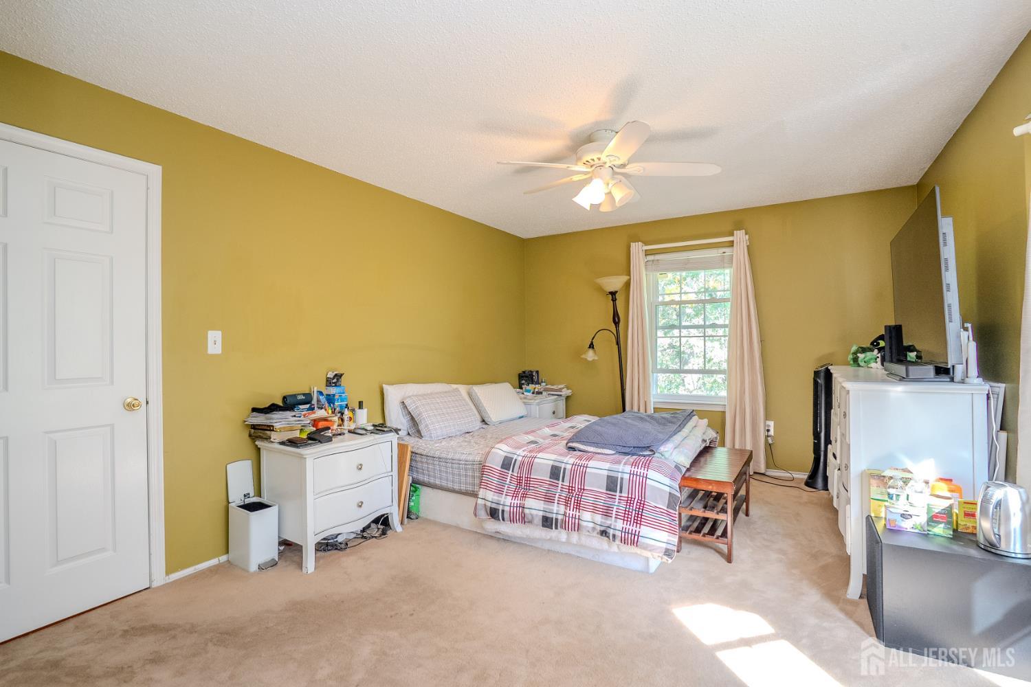45 Amethyst Way Franklin NJ 08823