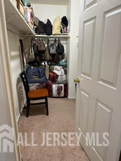 301 Vasser Drive Piscataway NJ 08854