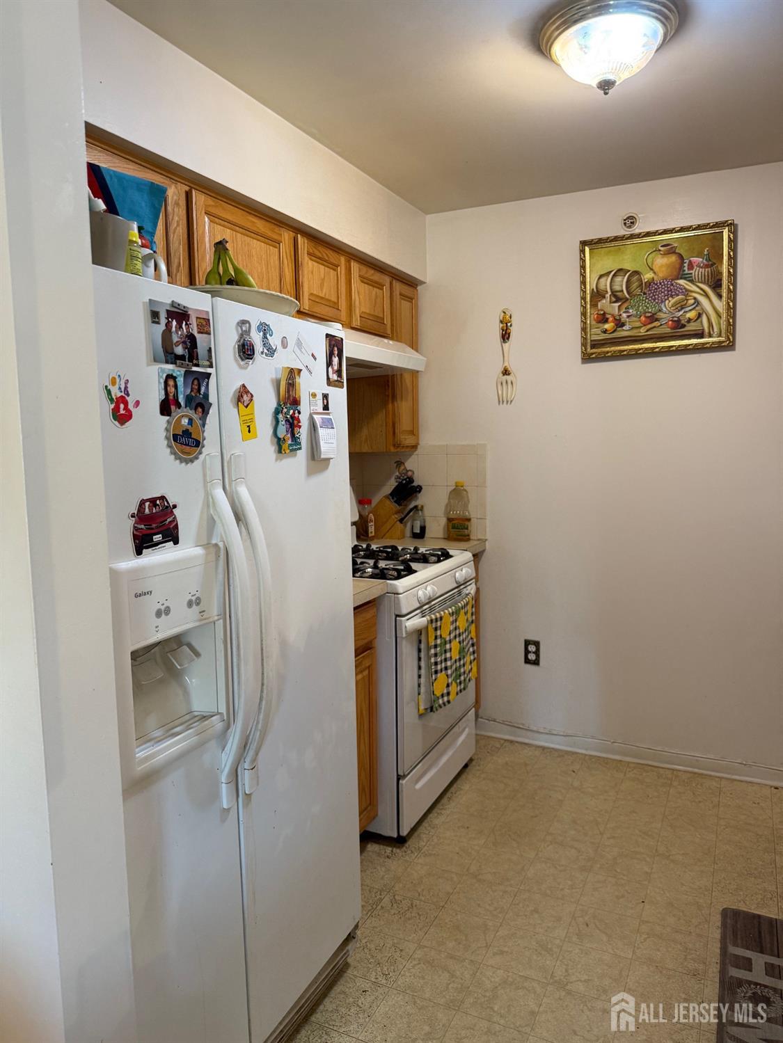 1035 Dogwood Court New Brunswick NJ 08901