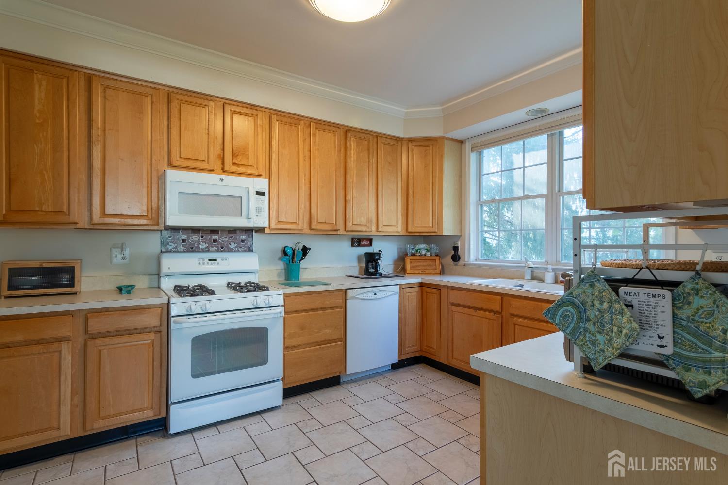 5 Newell Street Hillsborough NJ 08844