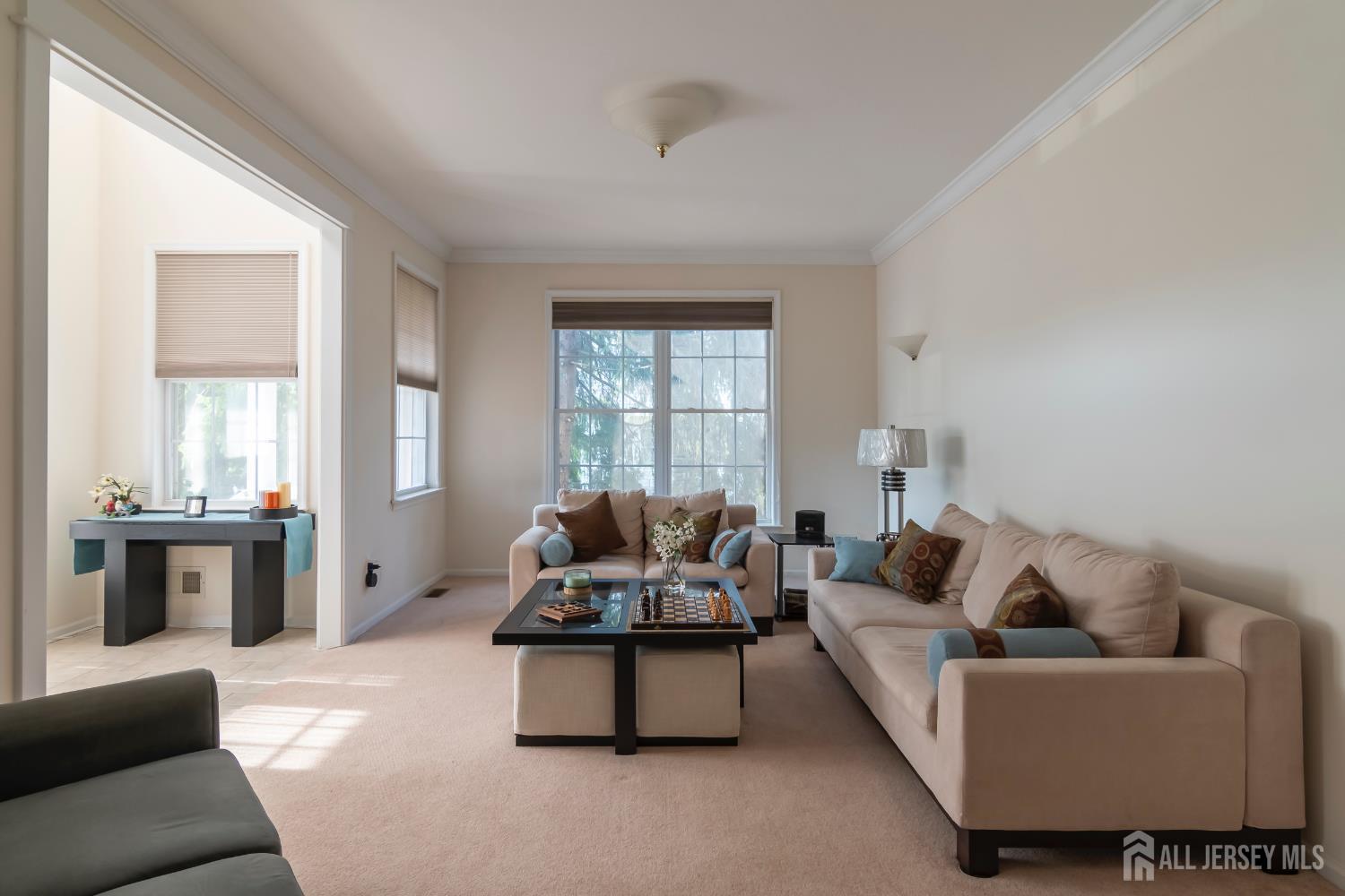 5 Newell Street Hillsborough NJ 08844