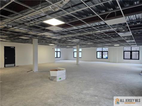 374 Green Street Woodbridge Proper NJ 07095