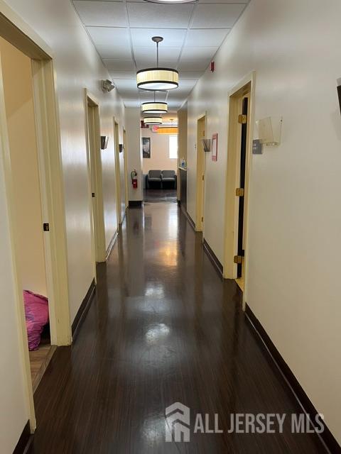 222 Easton Avenue New Brunswick NJ 08901
