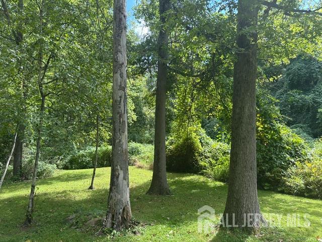 2516 Pennington Road Hopewell Twp NJ 08534