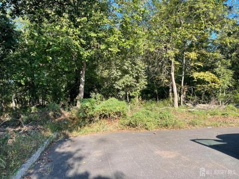 76 Woodland Road Piscataway NJ 08854