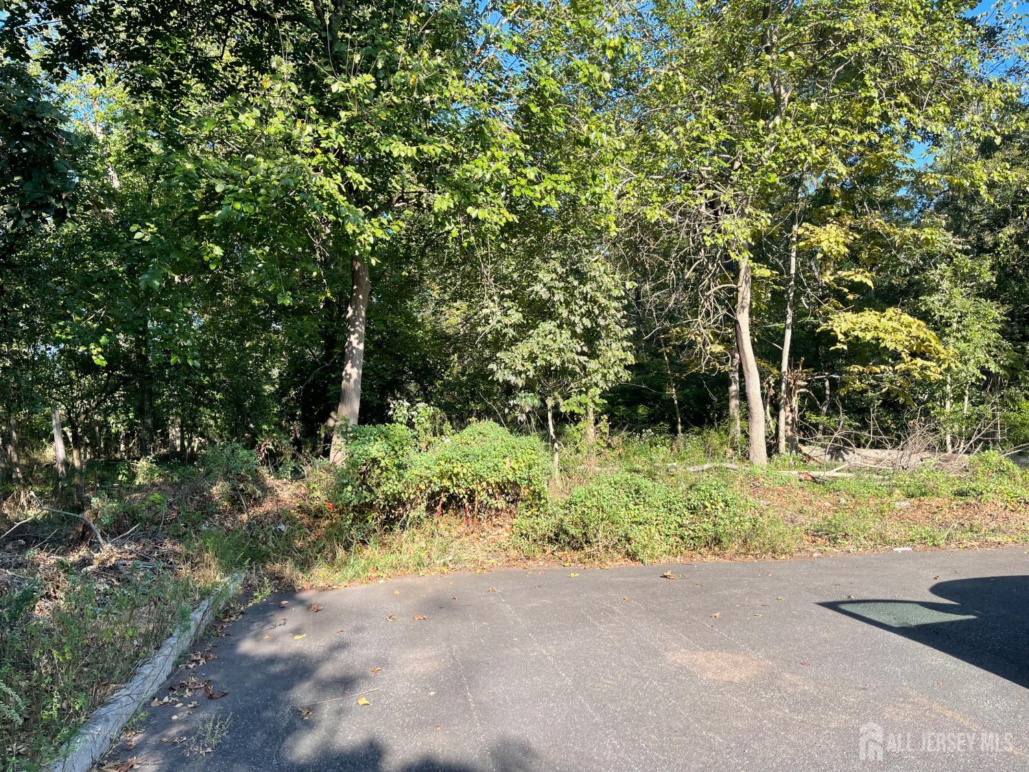 76 Woodland Road Piscataway NJ 08854