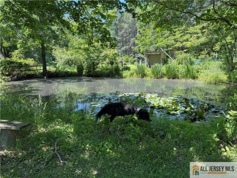 52 Cottrell Road Old Bridge NJ 07747