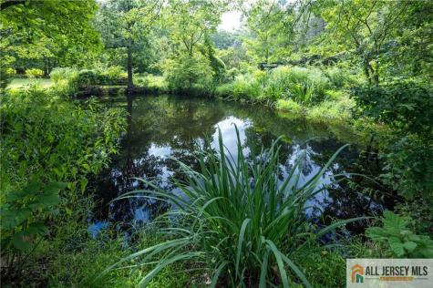 52 Cottrell Road Old Bridge NJ 07747