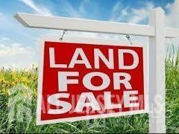 358 Elizabeth Avenue Franklin NJ 08873