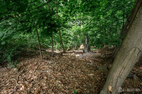 39 Forest Drive Bloomfield NJ 07003