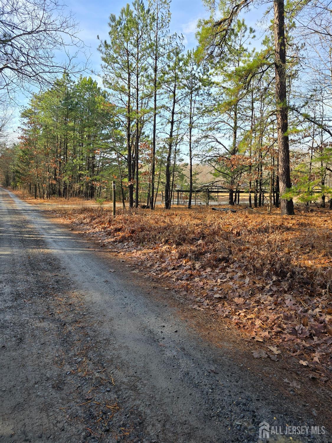 16 Hidden Pines Drive Millstone NJ 08510