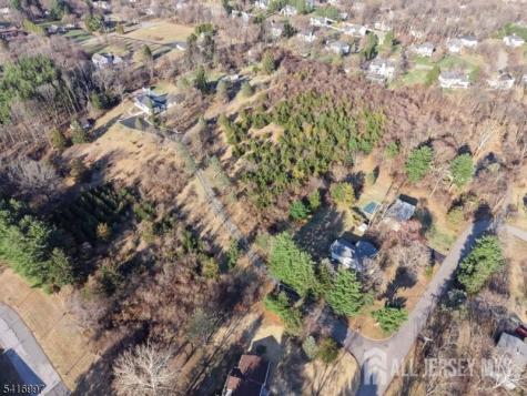 2 Rossi Drive Clinton Town NJ 08809