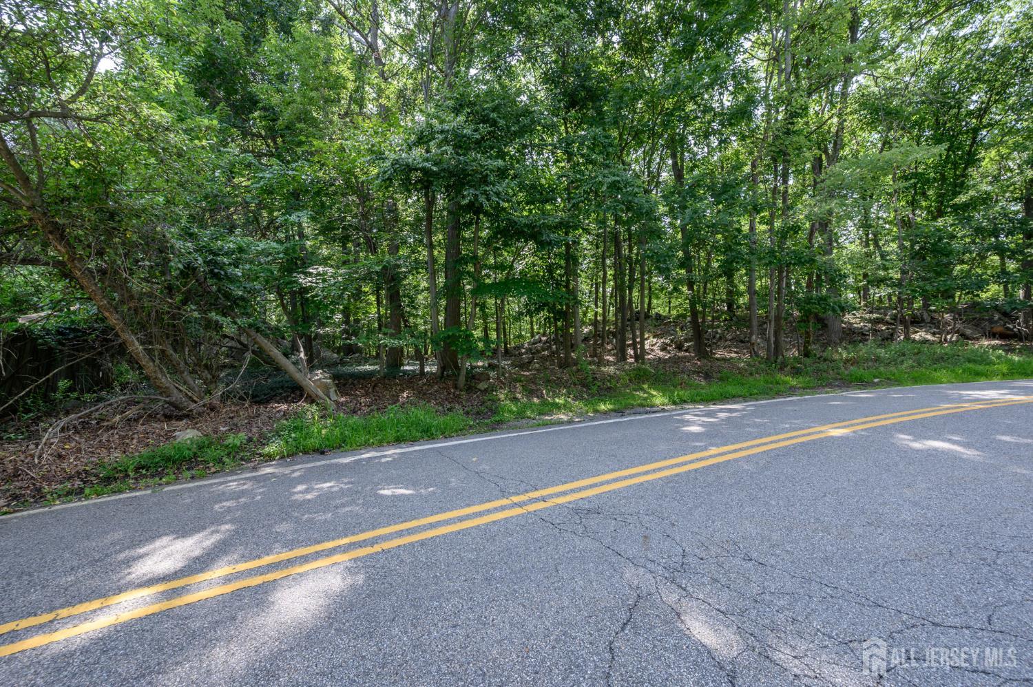 782 Brooklyn Mountain Road Hopatcong NJ 07843