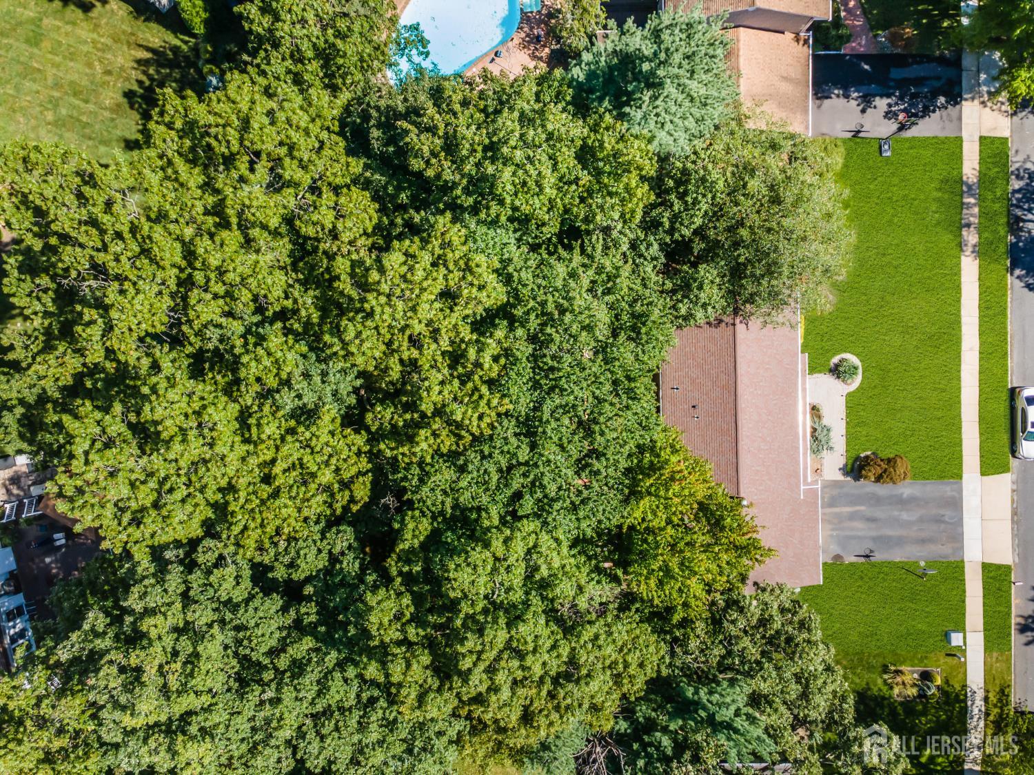 6 Mount Court East Brunswick NJ 08816