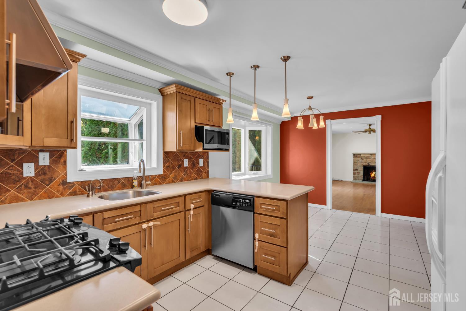 30 Hamilton Lane Plainsboro NJ 08536