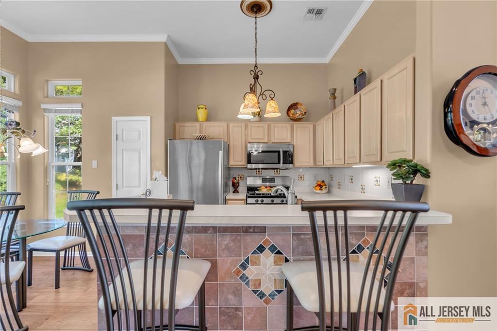 17 Fountain View Drive Barnegat NJ 08005