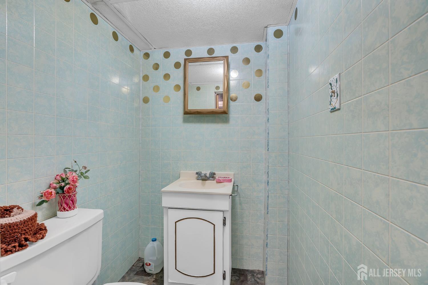 12 Emma Place Piscataway NJ 08854