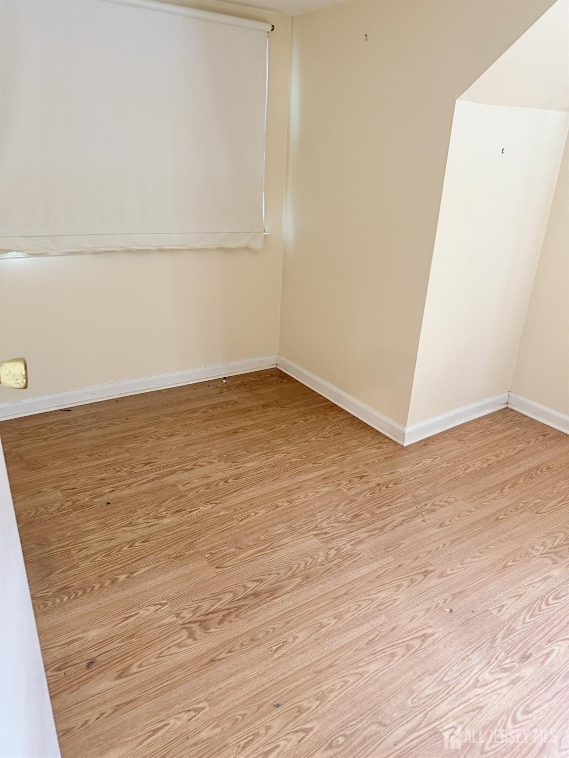 516 Braun Avenue Highland Park NJ 08904