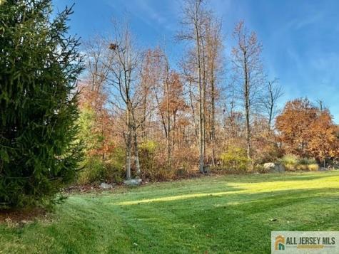 9 Bellingham Drive South Brunswick NJ 08824
