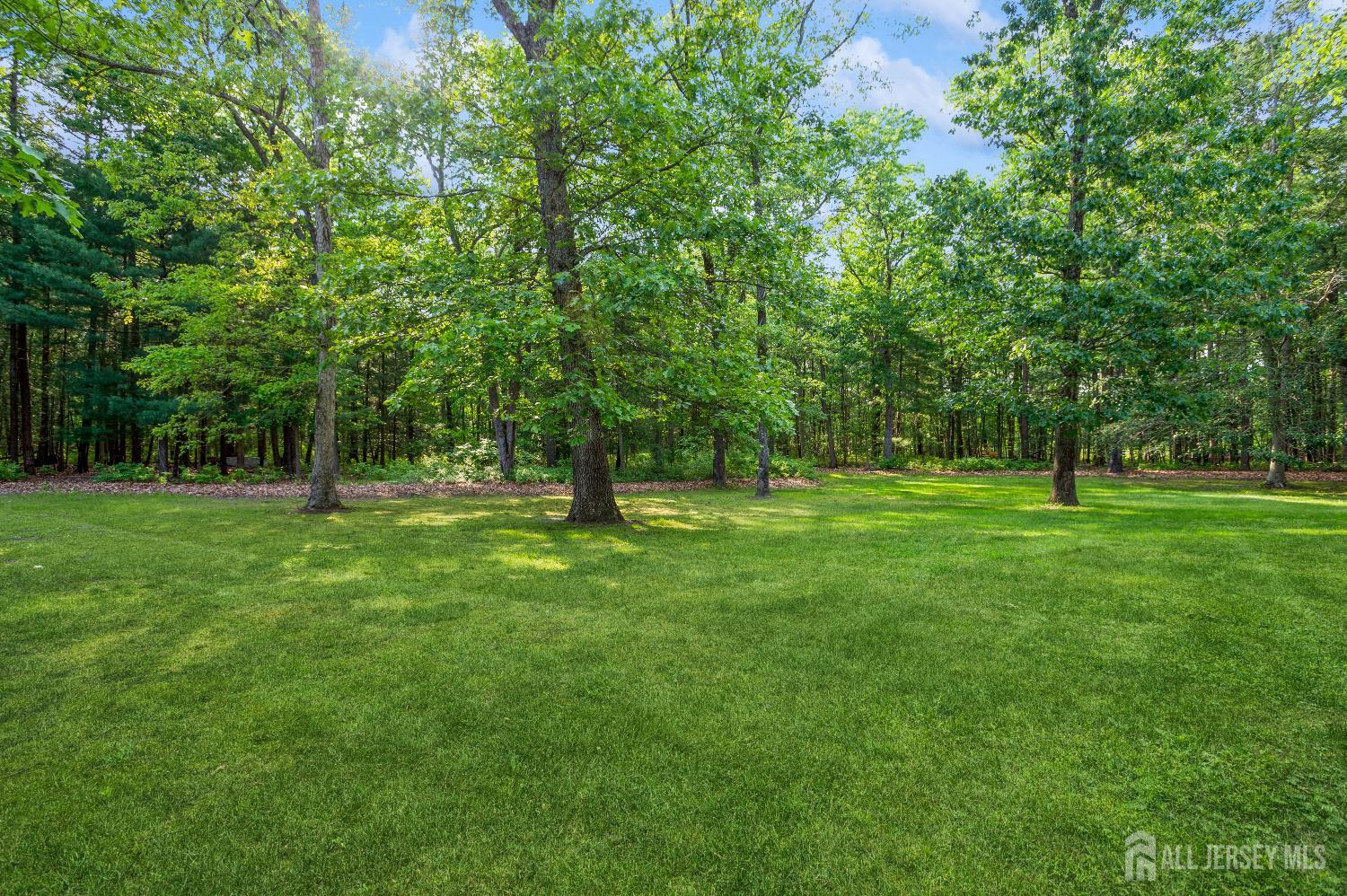 5 Ramapo Court Colts Neck NJ 07722
